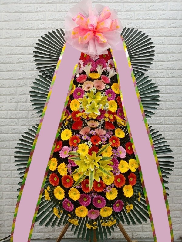 ���� 3��