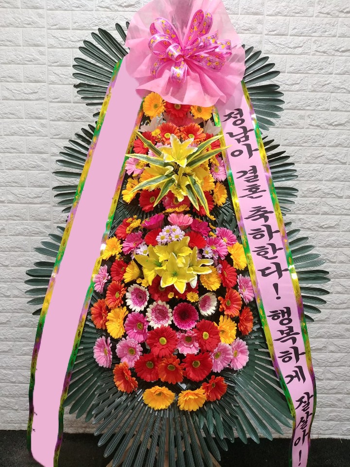 ���� 3��