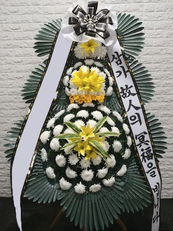 ���� 3��