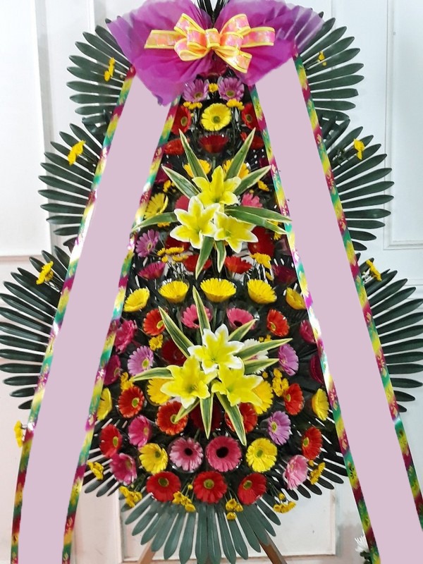 ���� 3��