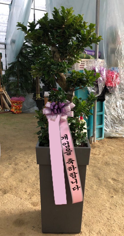 ���������Ҵ�