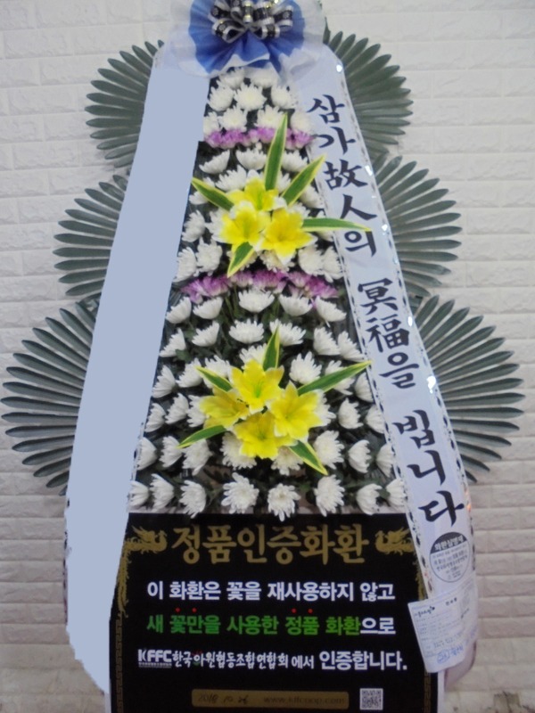 ���� 3��