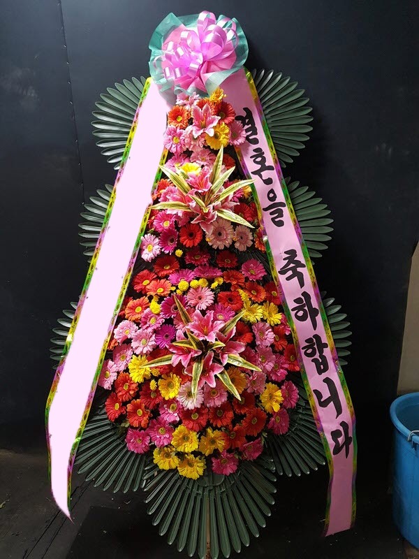 ���� 3��