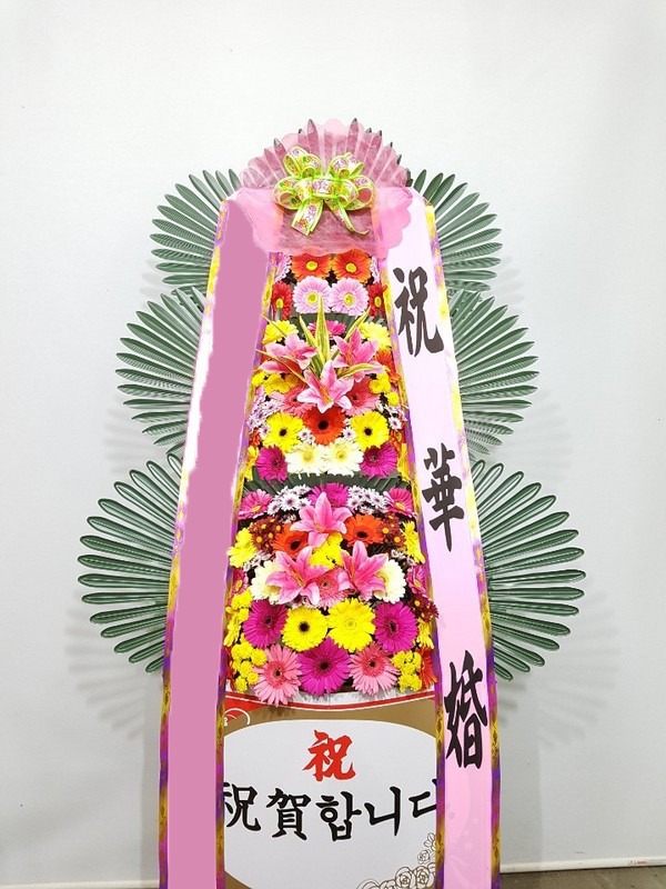 ���� 3��