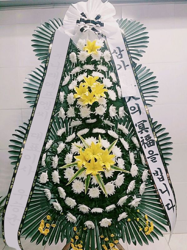 ���� 3��