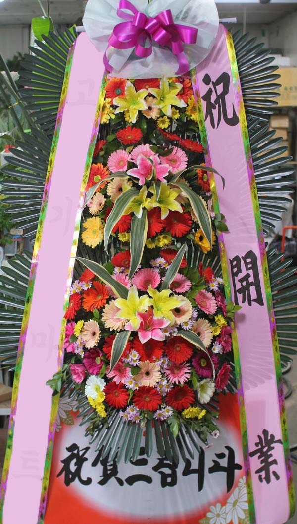 ���� 3��