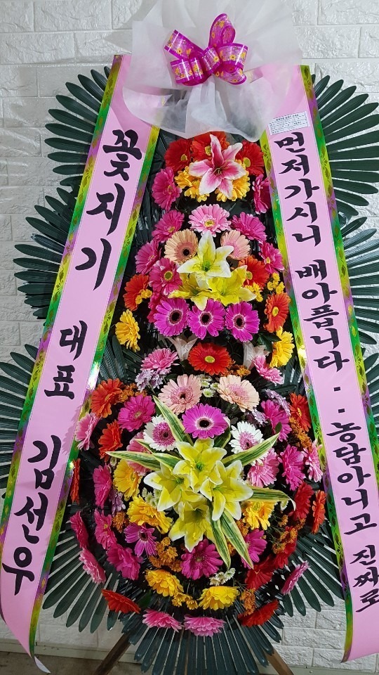 ���� 3��