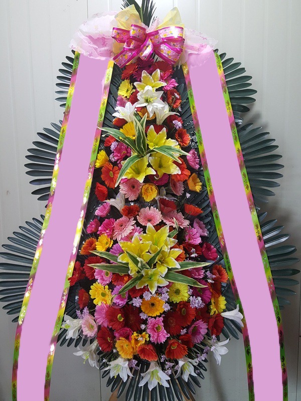 ���� 3��