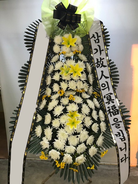 ���� 3��