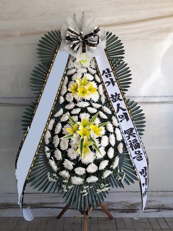 ���� 3��