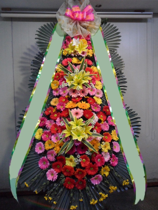 ���� 3��