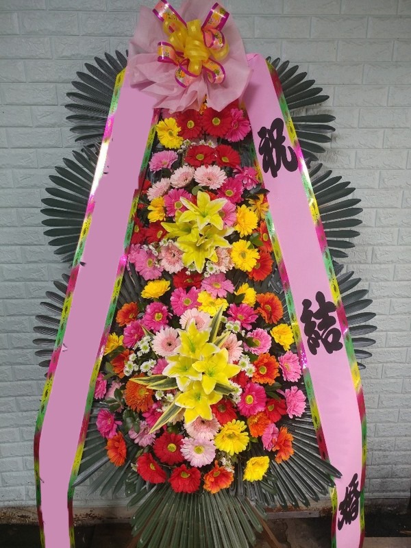 ���� 3��