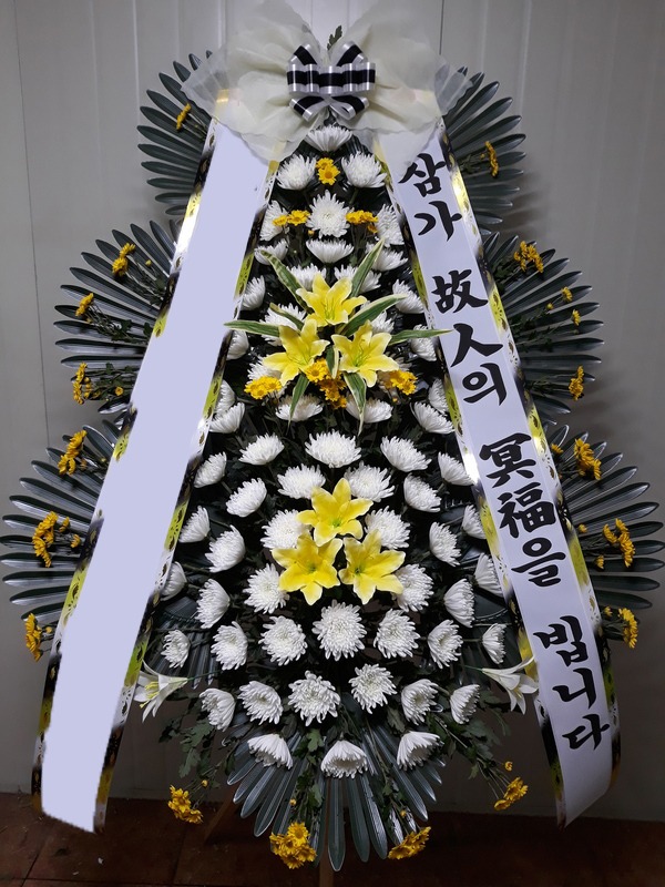 ���� 3��