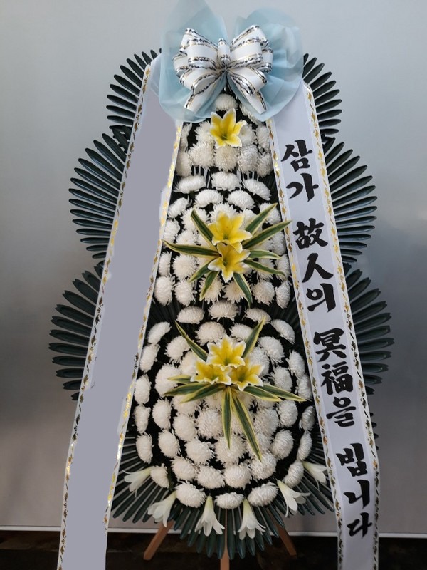 ���� 3��