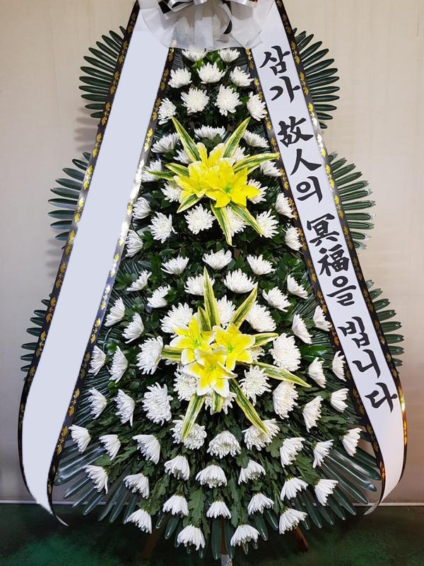 ���� 3��