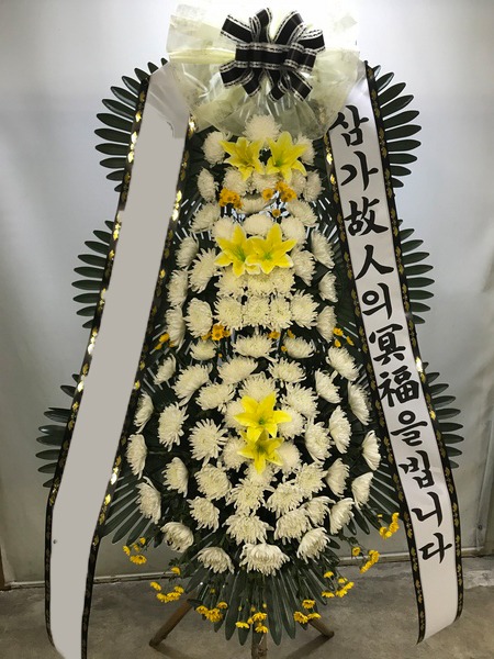 ���� 3��