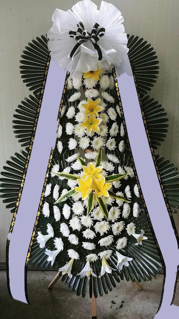 ���� 3��