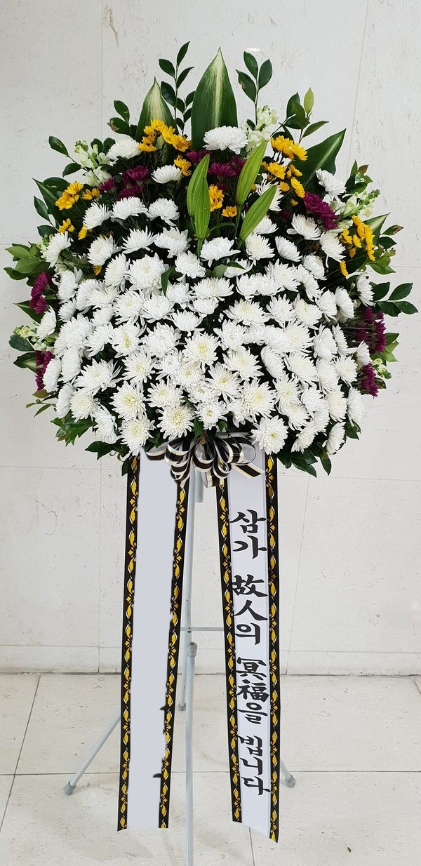 ���� ������