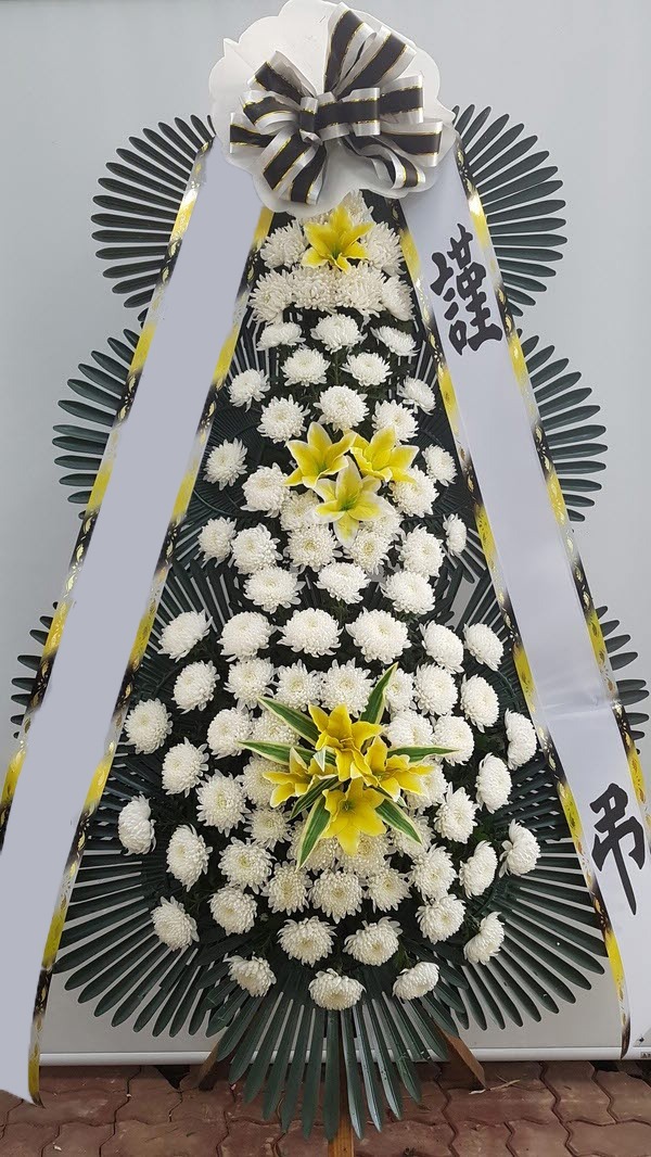 ���� 3��