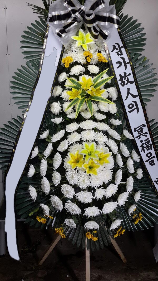 ���� 3��