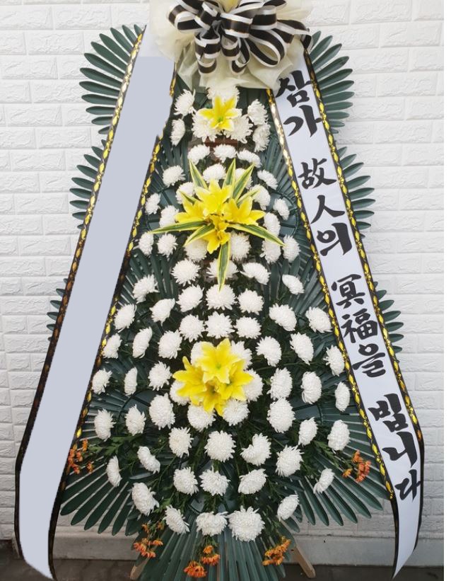 ���� 3��