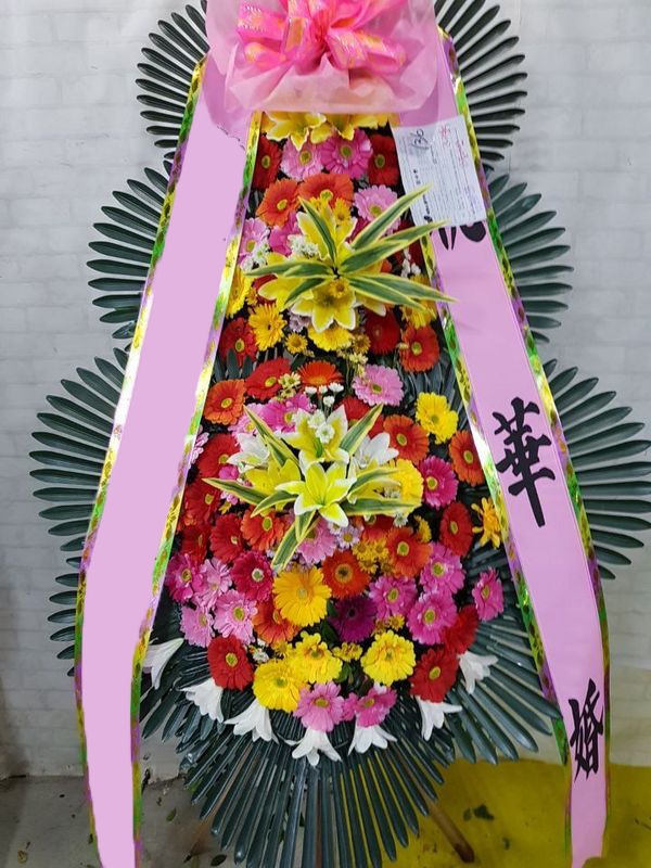 ���� 3��