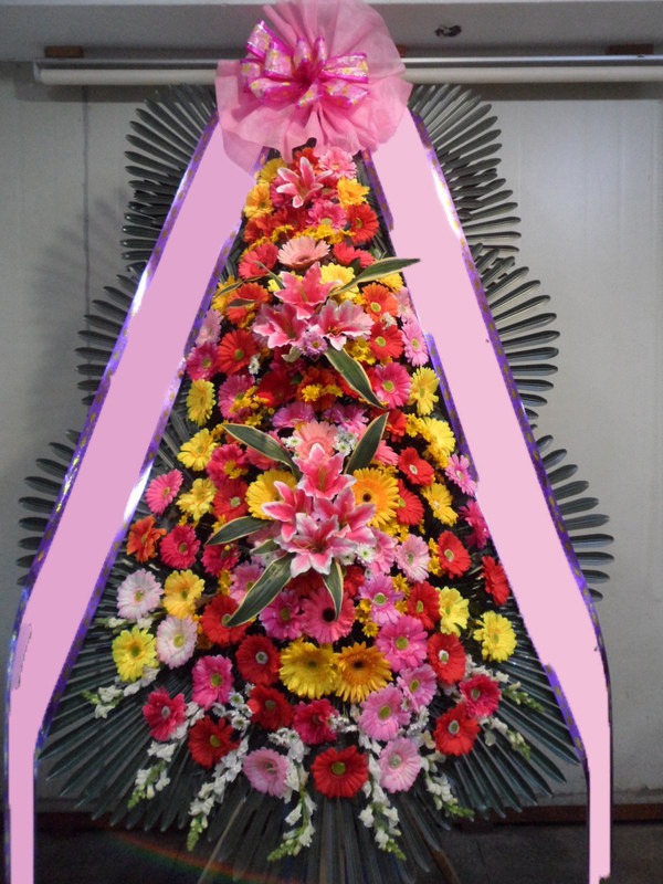 ���� 3��