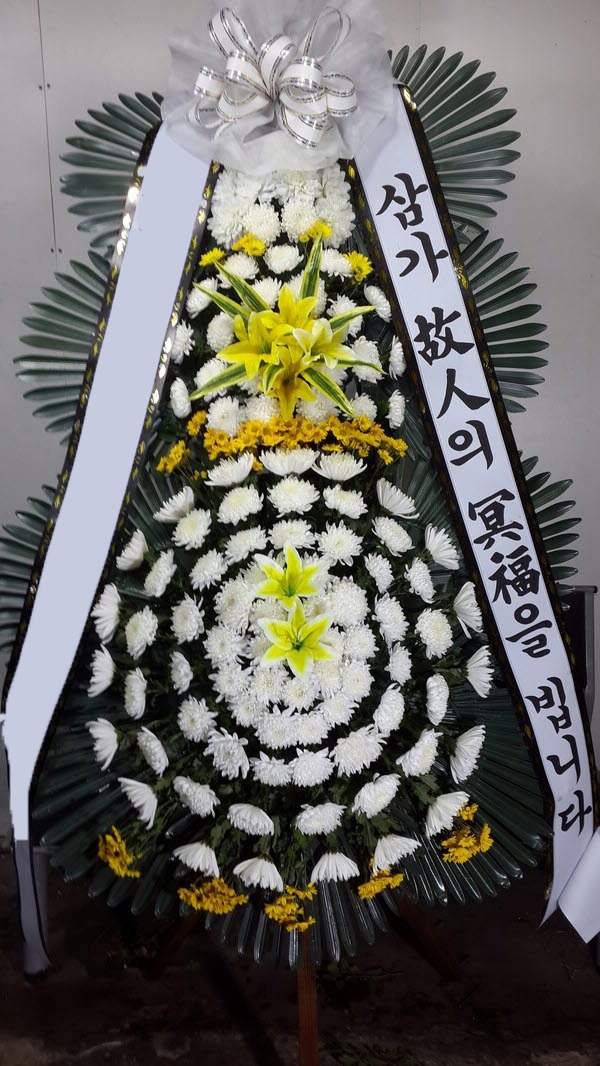 ���� 3��