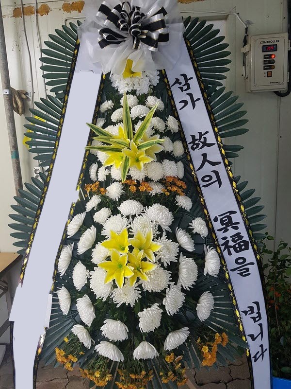 ���� 3��