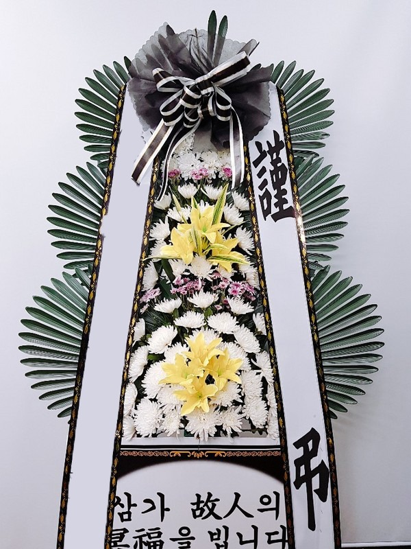 ���� 3��