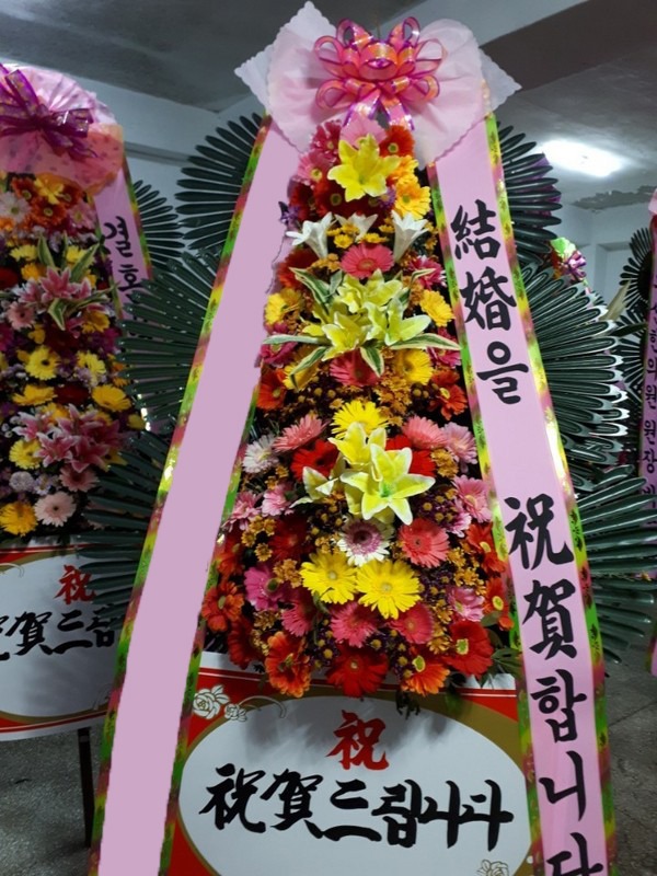 ���� 3��