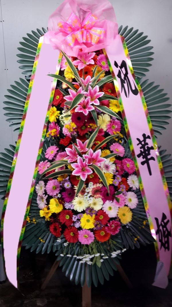 ���� 3��