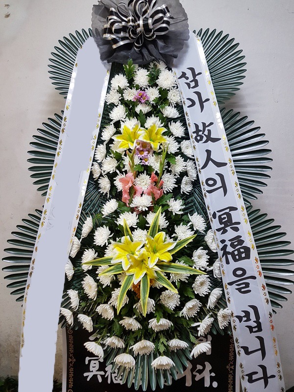 ���� 3��