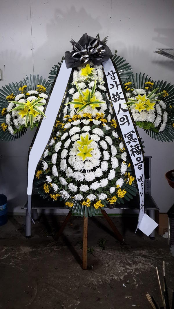 ���� 5��