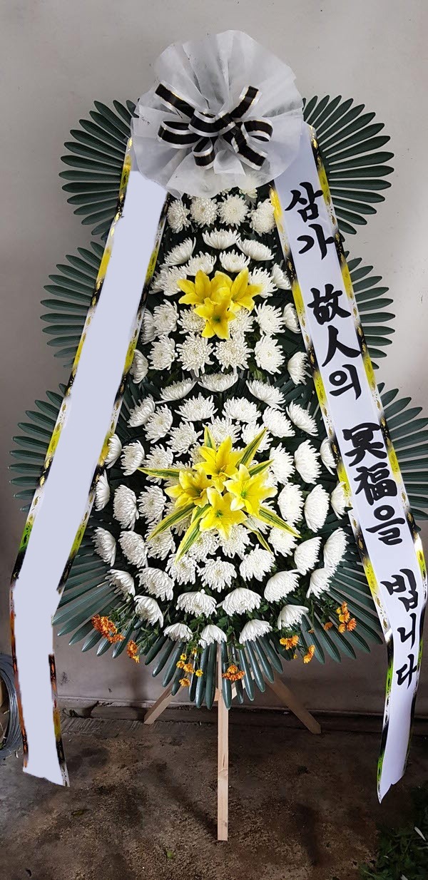 ���� 3��