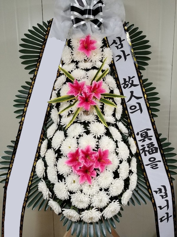 ���� 3��