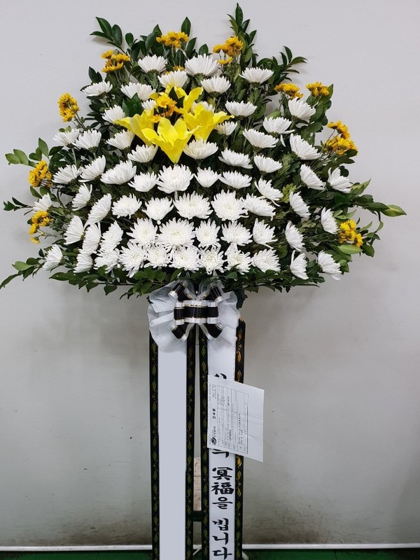 ���� ������