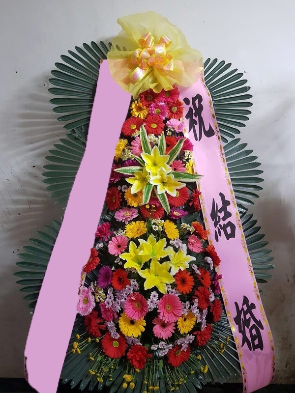 ���� 3��