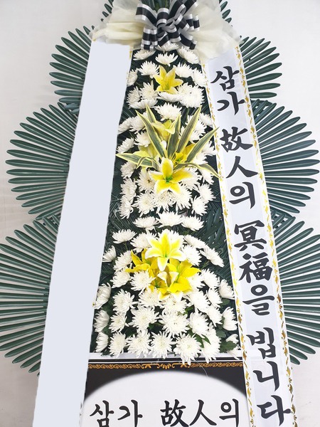 ���� 3��