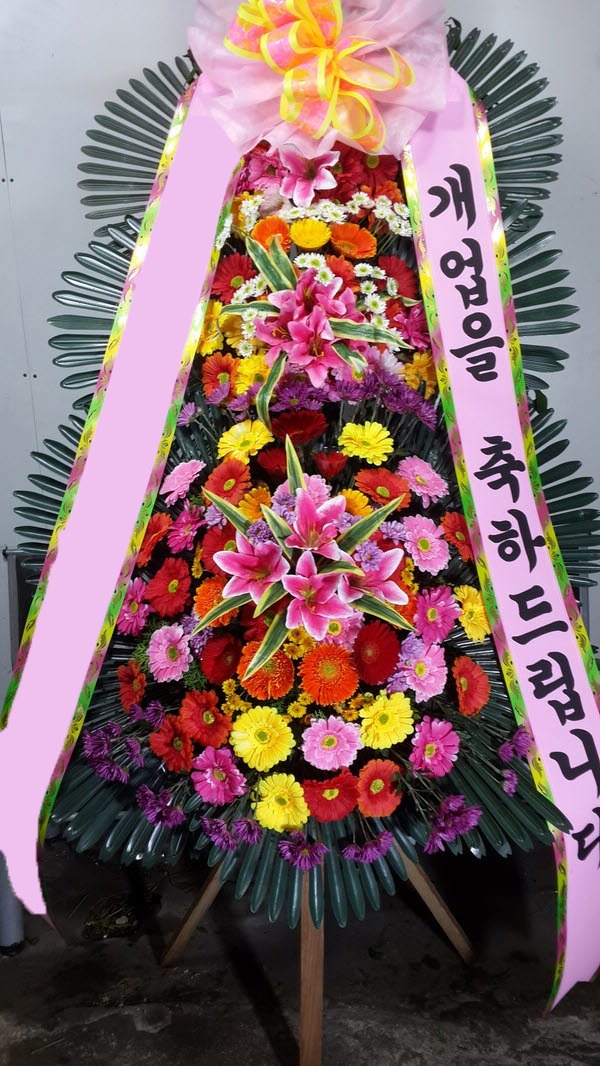 ���� 3��