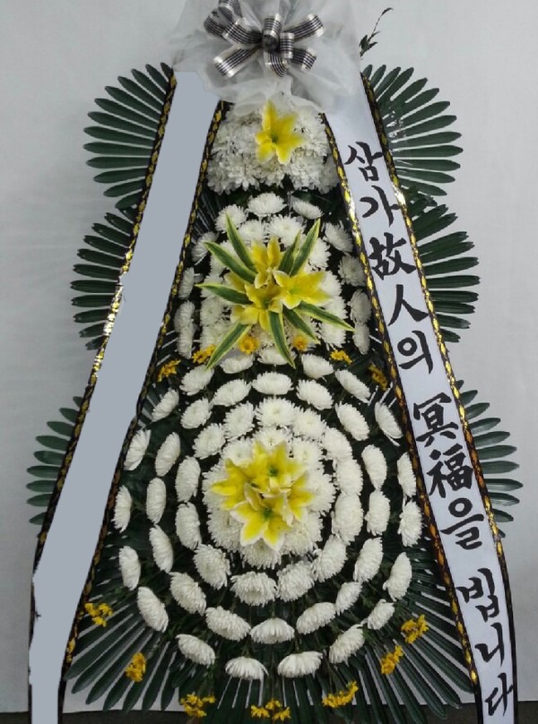 ���� 3��