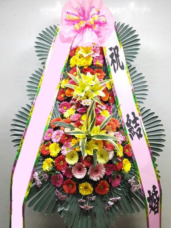 ���� 3��