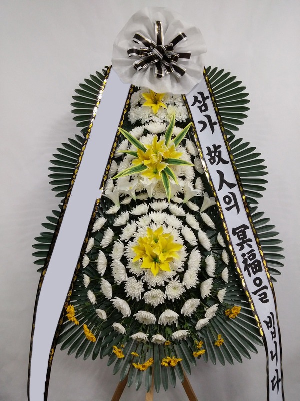 ���� 3��