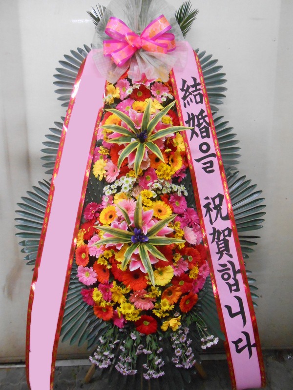 ���� 3��