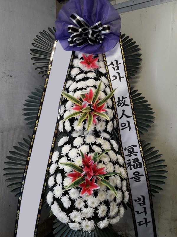 ���� 3��