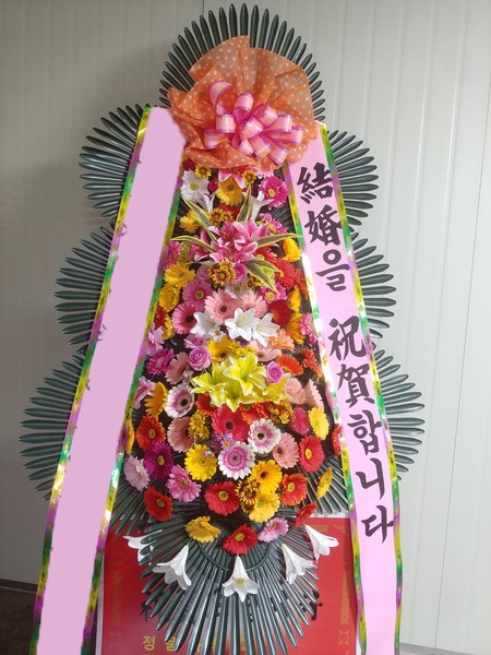 ���� 3��