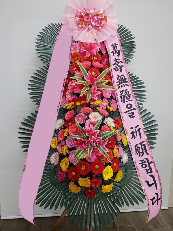 ���� 3��