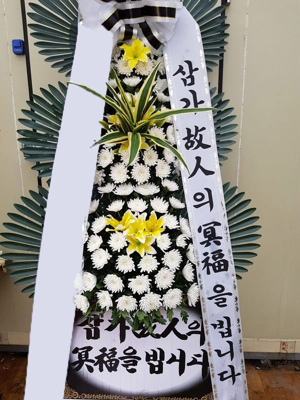 ���� 3��