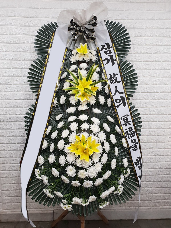 ���� 3��