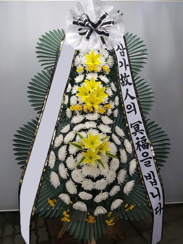 ���� 3��